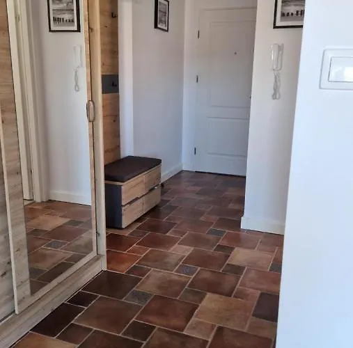 Calma 库瑞尼卡慕斯卡